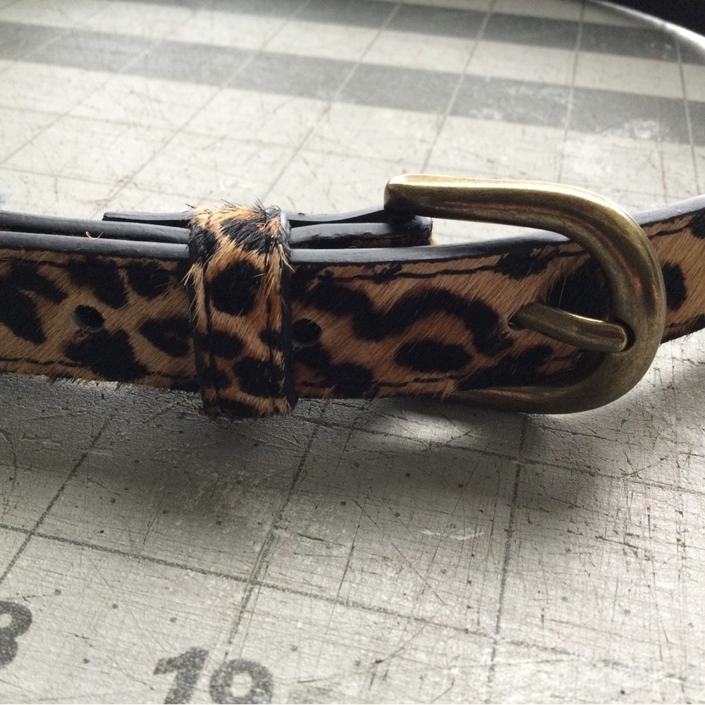 Leopard Print Belt - Picture 2 of 4